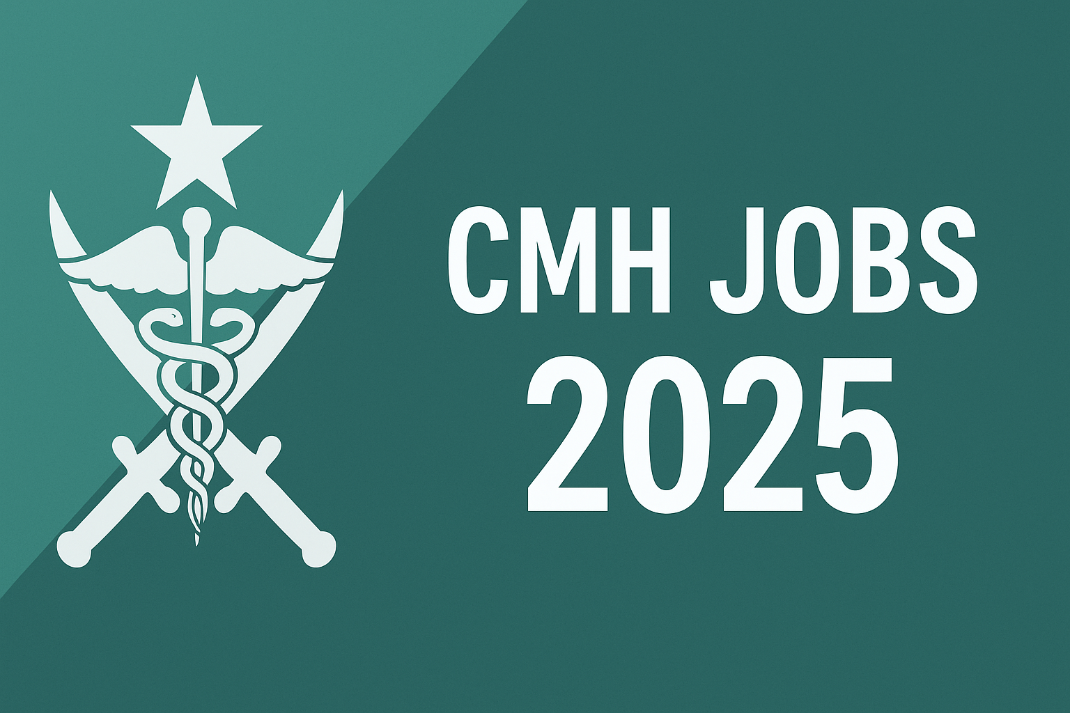 CMH Jobs 2025